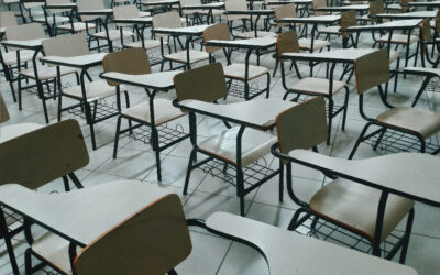 ABL: Always Be Learning